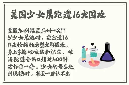 坐公交车被c的评论